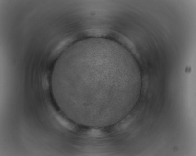 X0000092330114200709281434