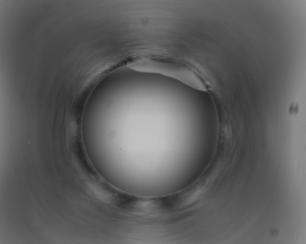 X0000092330117200709281434
