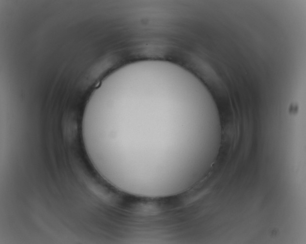 X0000092330120200709281434