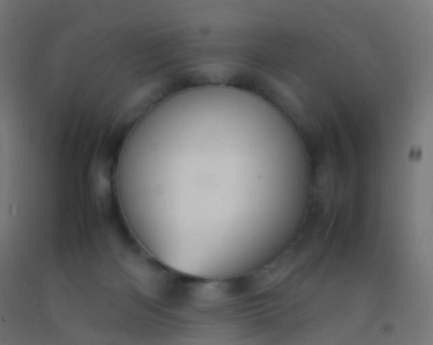X0000092330122200709281434