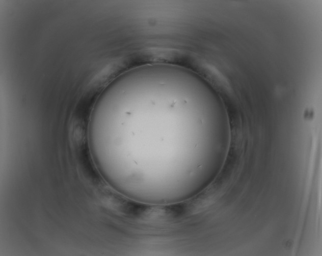 X0000092330123200709281434