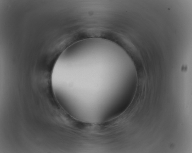 X0000092330125200709281434