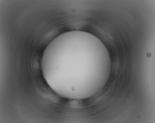 X0000092330126200709281434