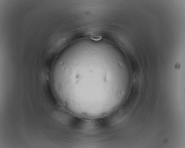 X0000092330127200709281434