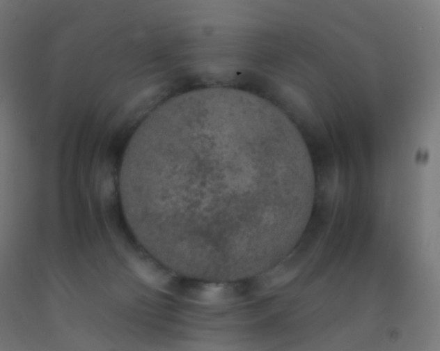X0000092330130200709281434