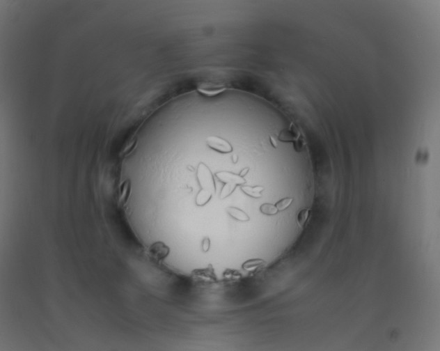 X0000092330131200709281434