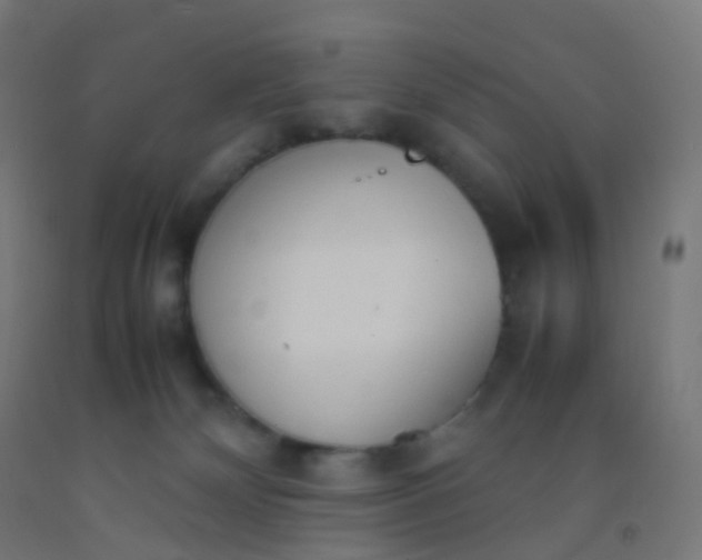 X0000092330132200709281434