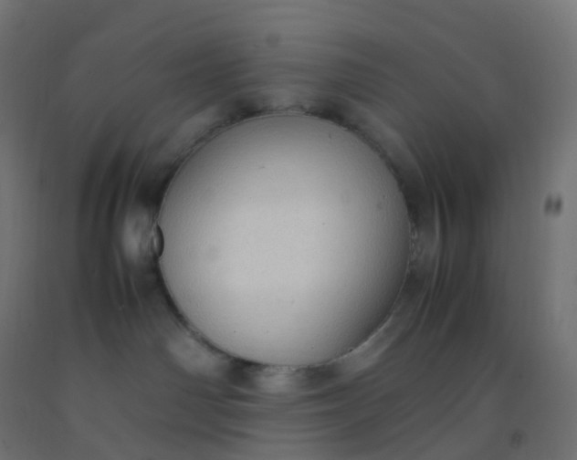 X0000092330142200709281434
