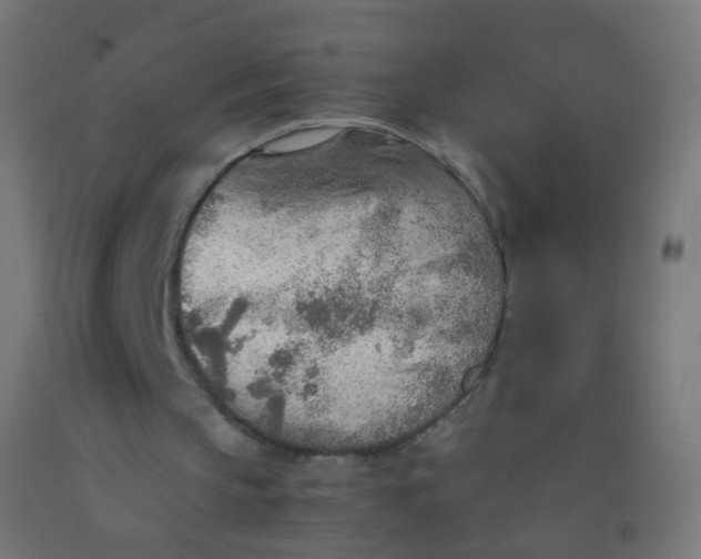 X0000092330145200709281433
