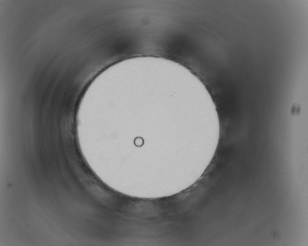 X0000092330146200709281433