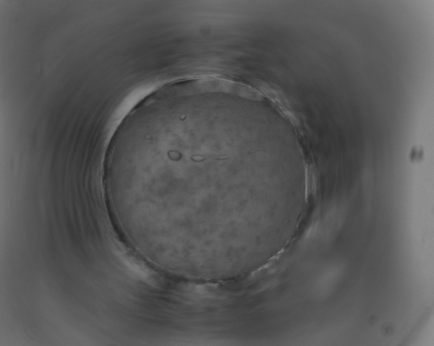 X0000092330147200709281433