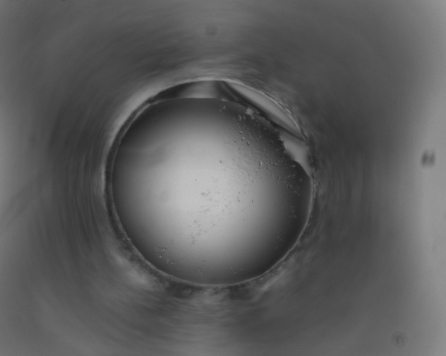 X0000092330148200709281433
