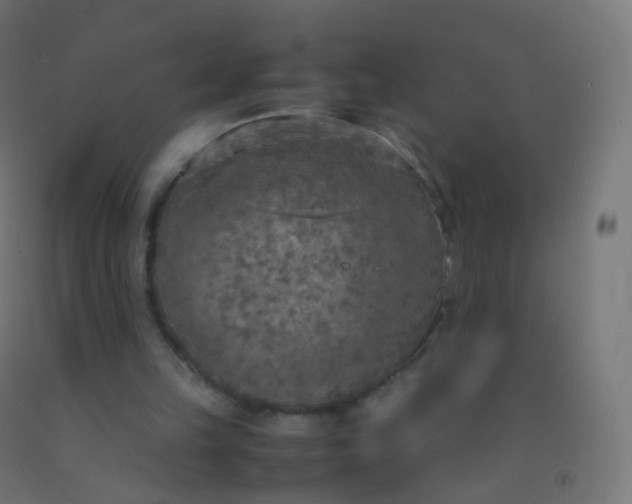 X0000092330149200709281433