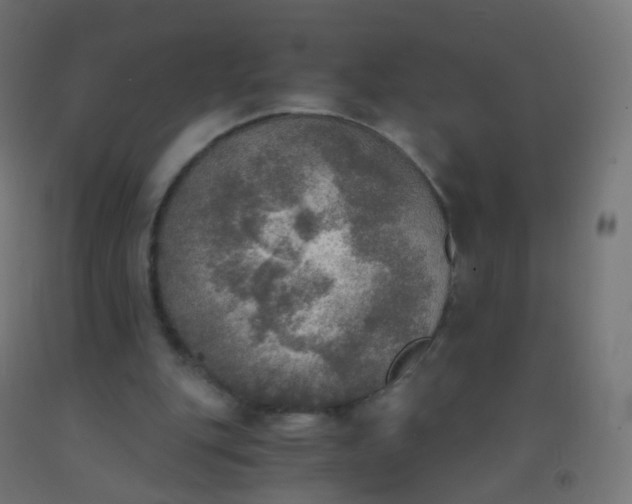 X0000092330151200709281433