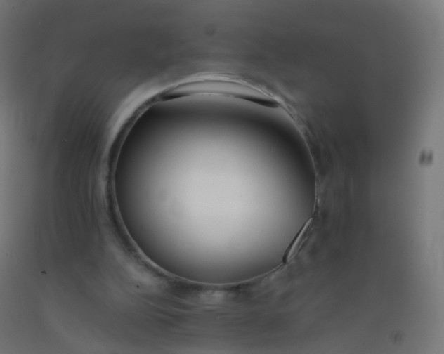 X0000092330152200709281433