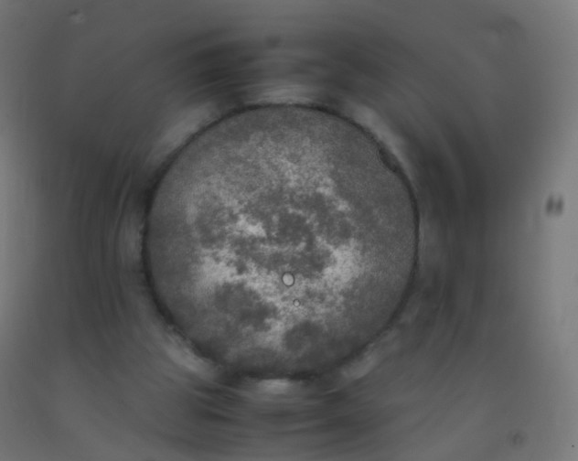 X0000092330153200709281433
