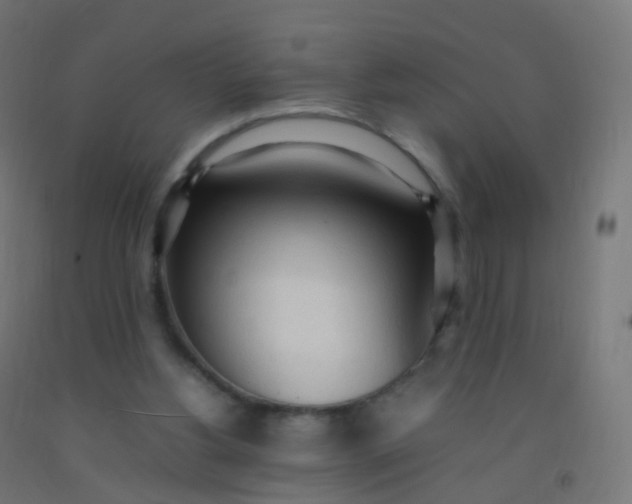 X0000092330156200709281433