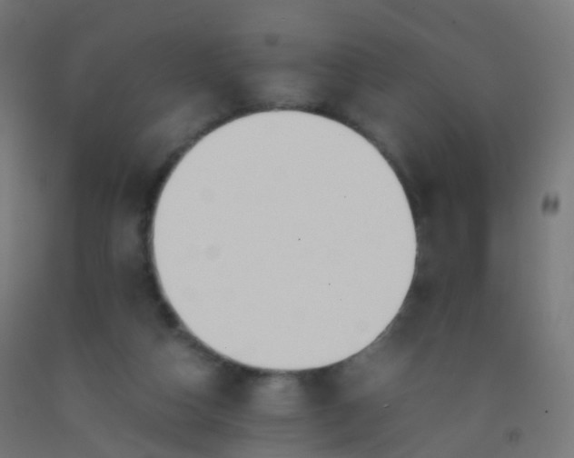 X0000092330162200709281433