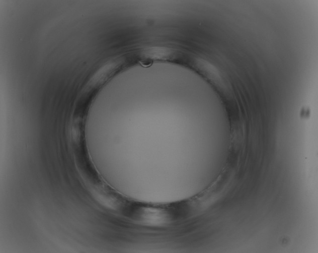 X0000092330167200709281433