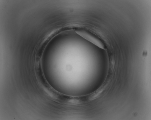 X0000092330168200709281433