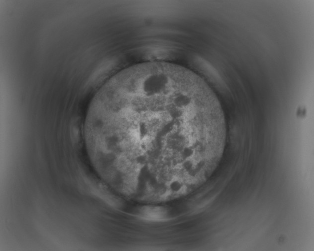 X0000092330169200709281433