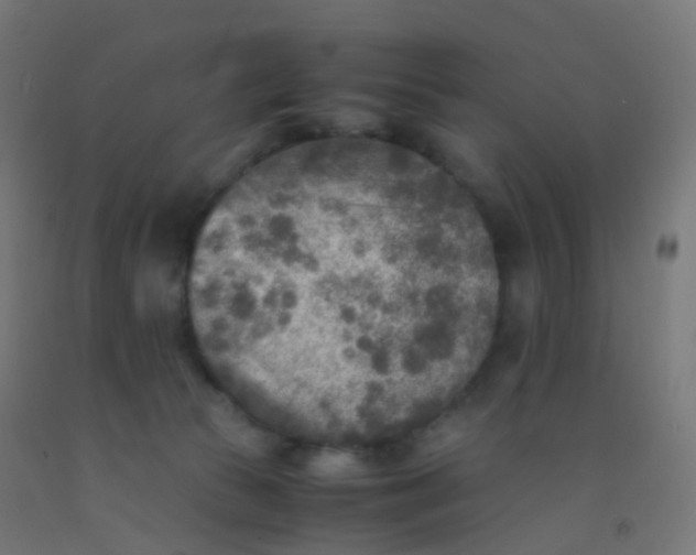 X0000092330177200709281433