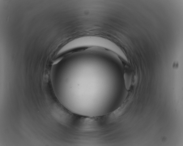 X0000092330180200709281433