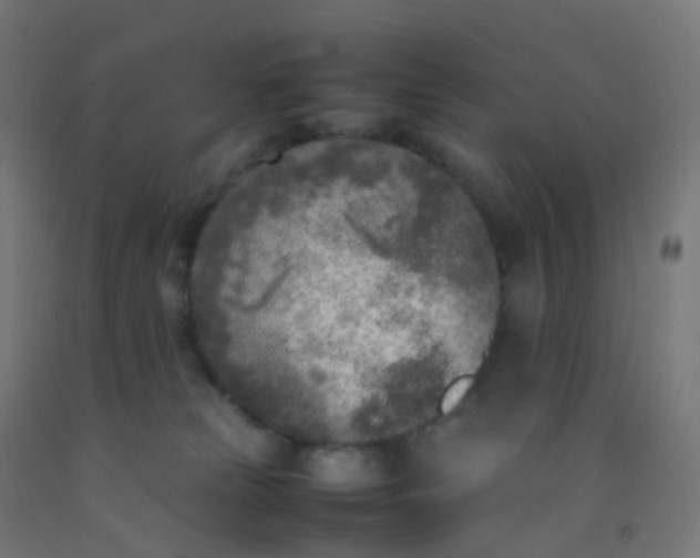 X0000092330181200709281433