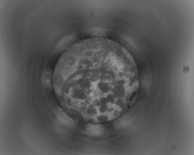 X0000092330185200709281433