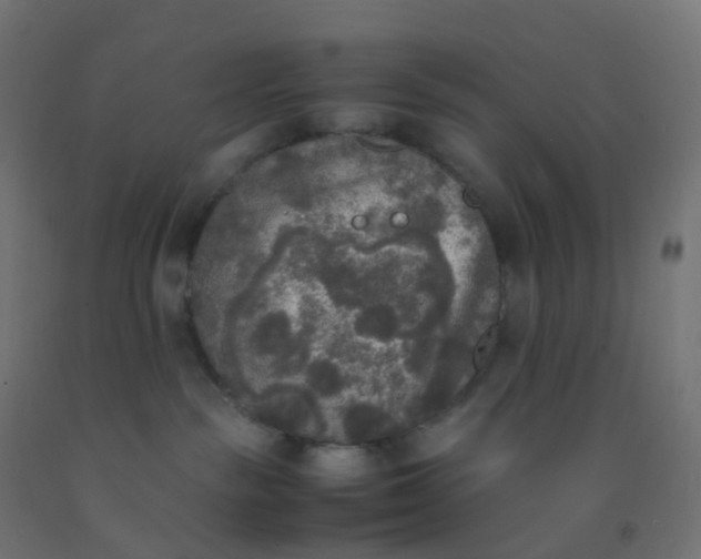 X0000092330189200709281434