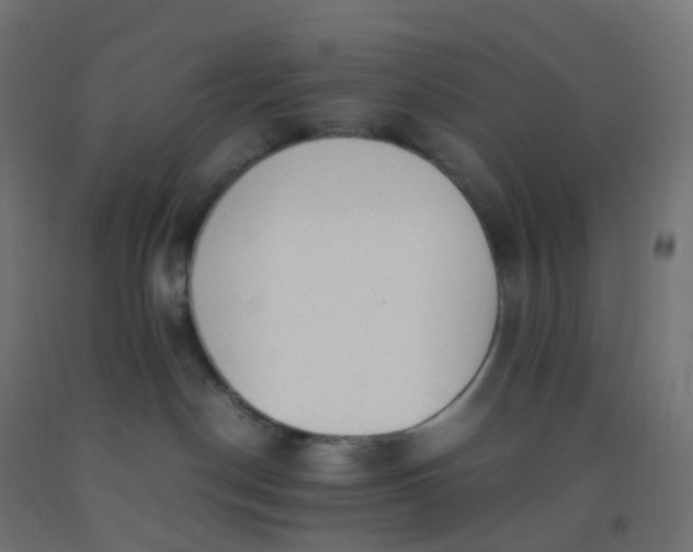 X0000092330190200709281434