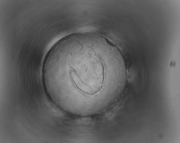 X0000092330196200709281433