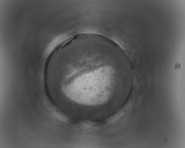 X0000092330199200709281433