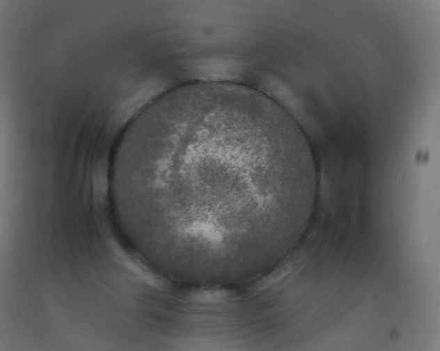 X0000092330202200709281433