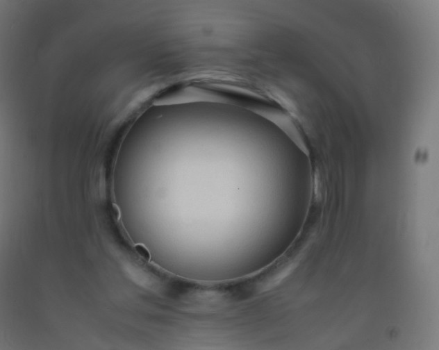 X0000092330205200709281433