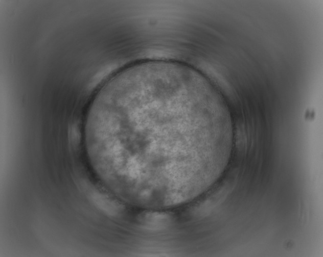 X0000092330208200709281433