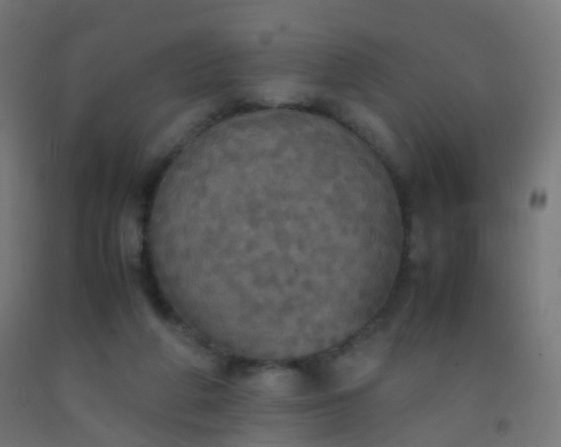 X0000092330210200709281433