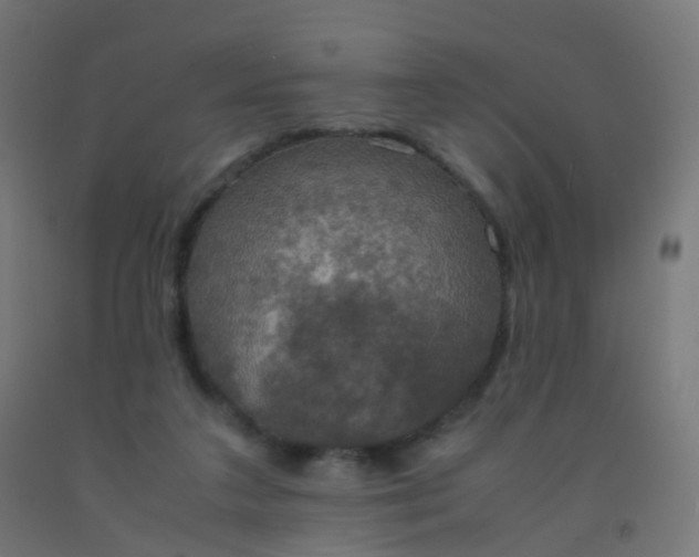 X0000092330211200709281433