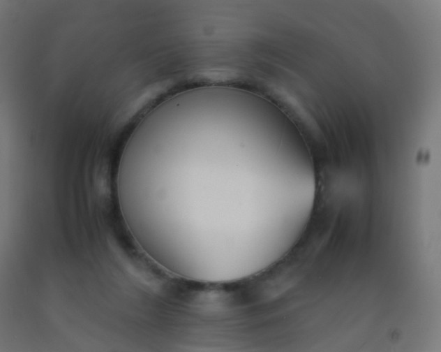 X0000092330212200709281433