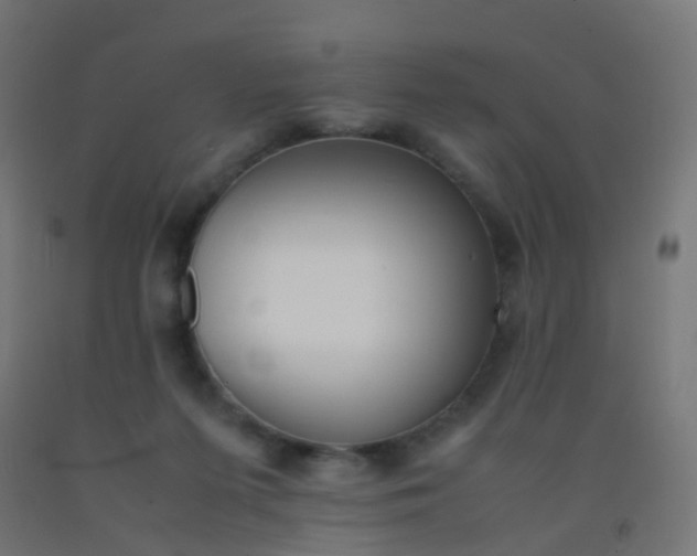 X0000092330215200709281433