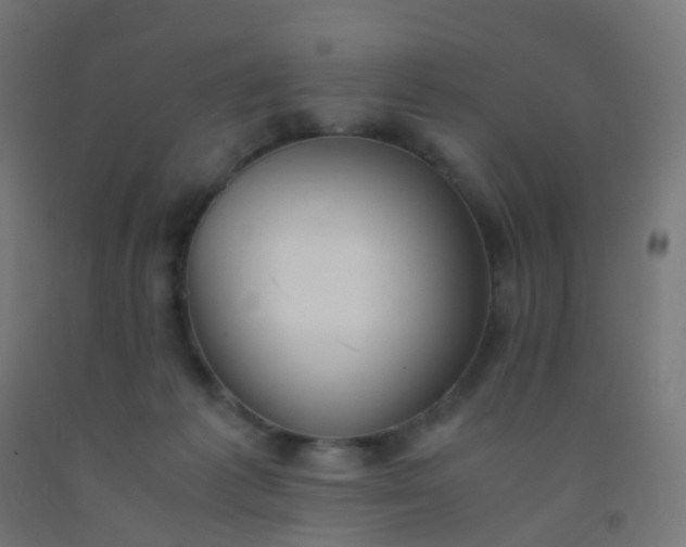 X0000092330221200709281433