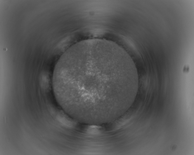 X0000092330222200709281433