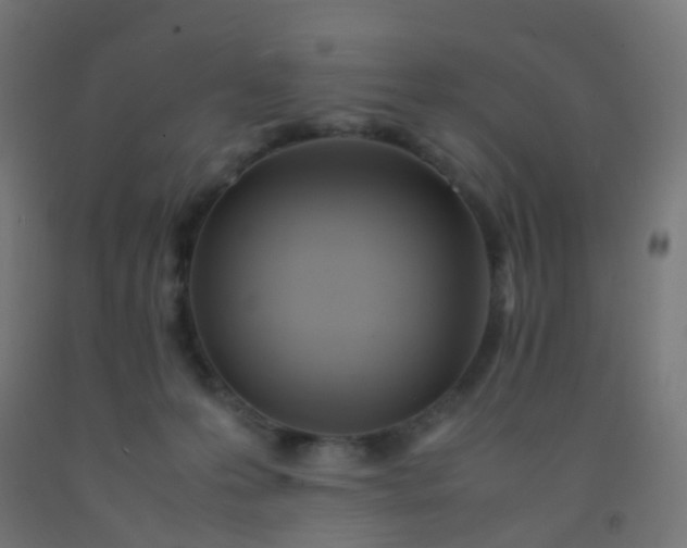 X0000092330223200709281433