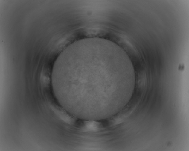 X0000092330226200709281433