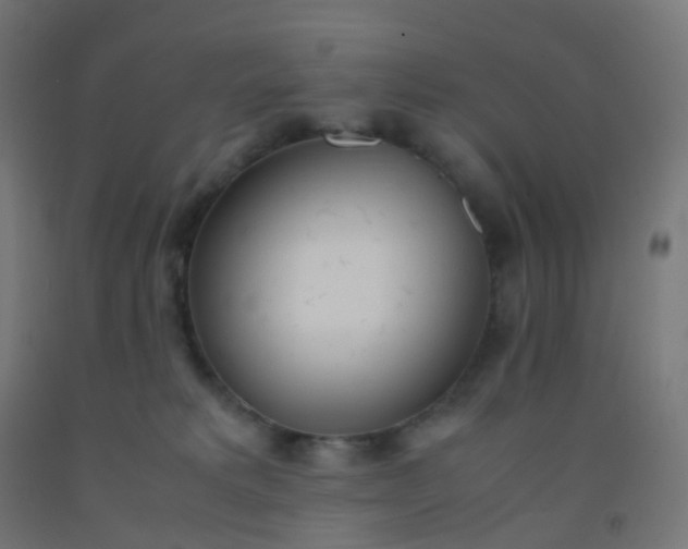 X0000092330229200709281432