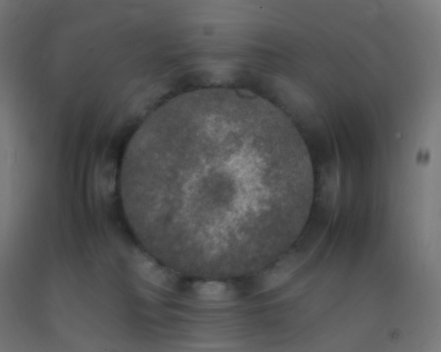 X0000092330230200709281432