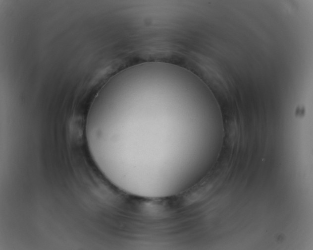 X0000092330232200709281432