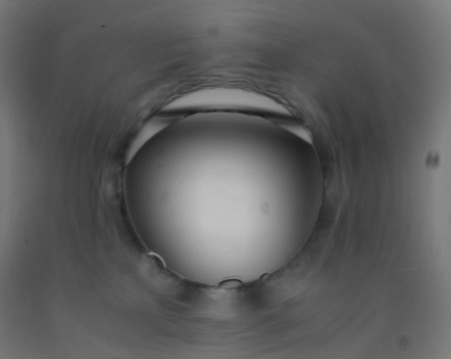 X0000092330233200709281432