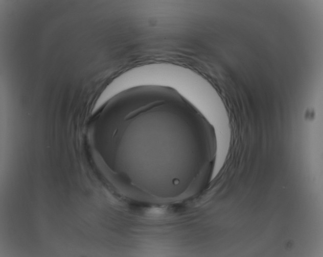 X0000092330235200709281432