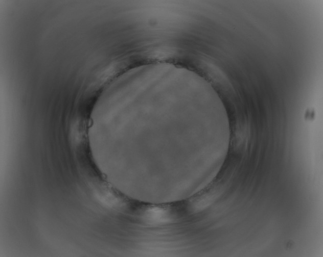 X0000092330236200709281432